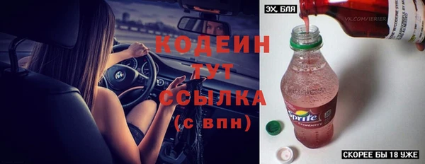 амф Козельск