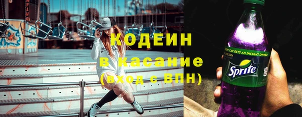 амф Козельск