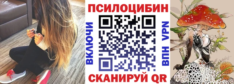 Псилоцибиновые грибы Cubensis  Купить закладки  Мончегорск 
