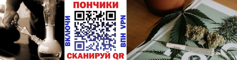 Купить закладки  Мончегорск  Бошки марихуана сатива 